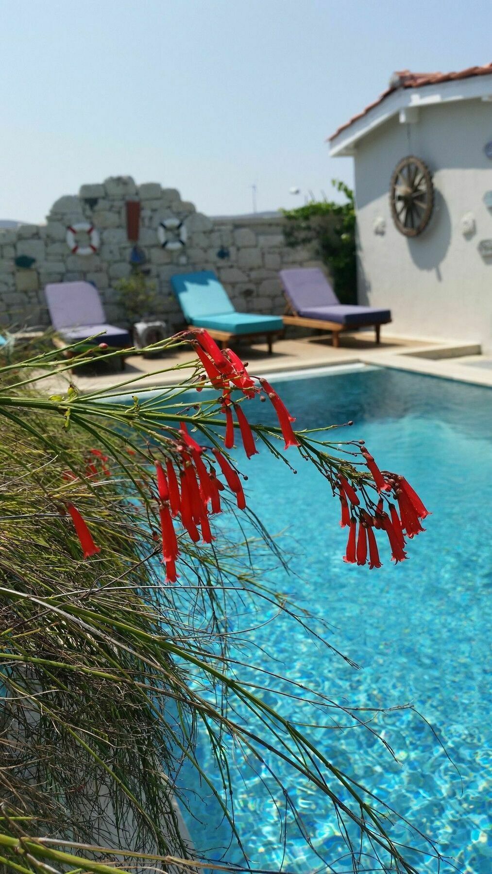 Cassiopeia Hotel Alaçatı Buitenkant foto